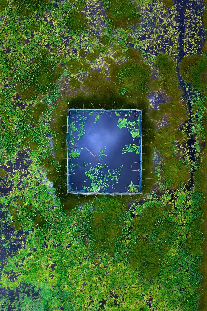 Photograph by Ashik Aseem