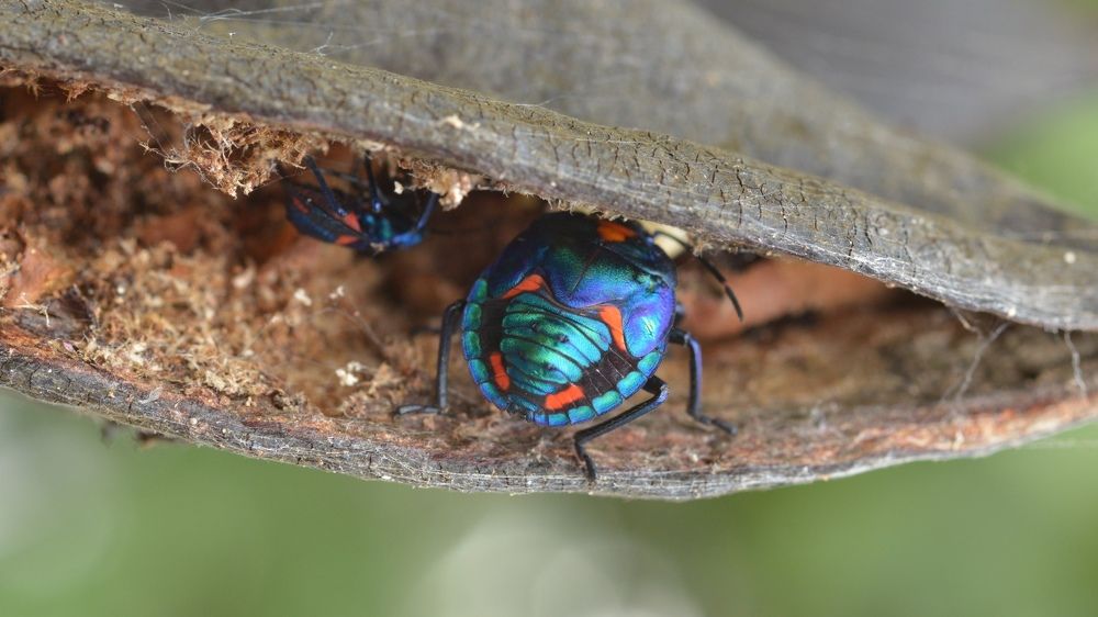 Photograph by Игорь