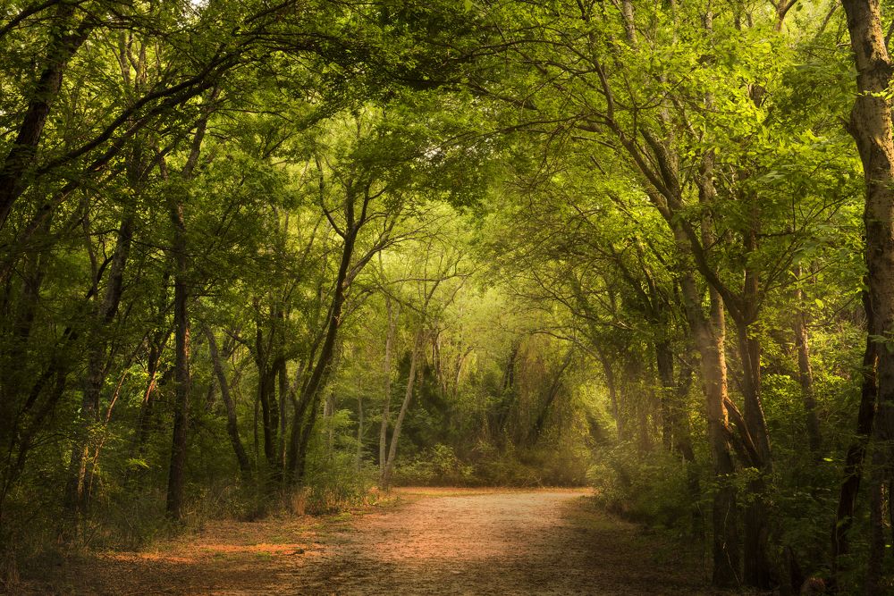 Photograph by Myles Barfield