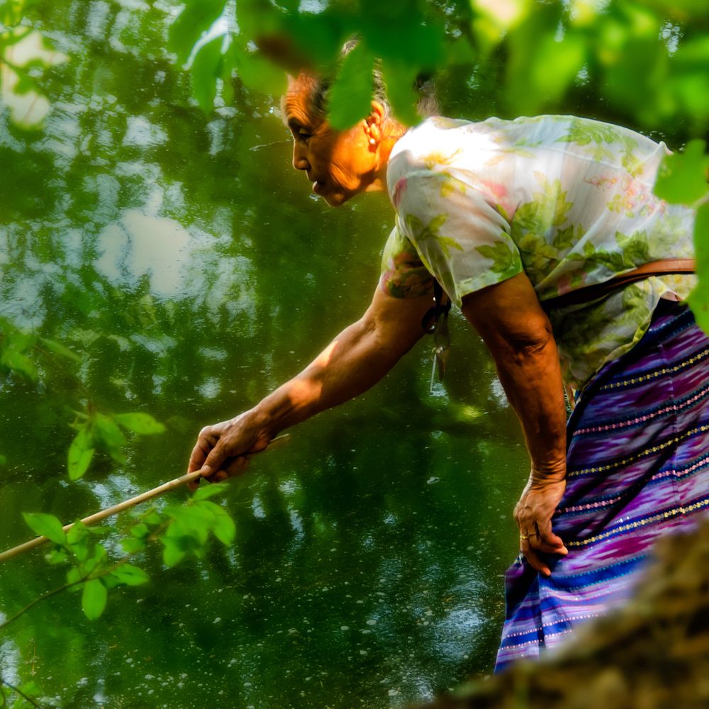 Photograph by Myles Barfield