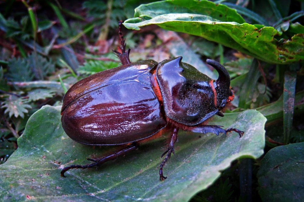 Photograph by Наташа Фишер