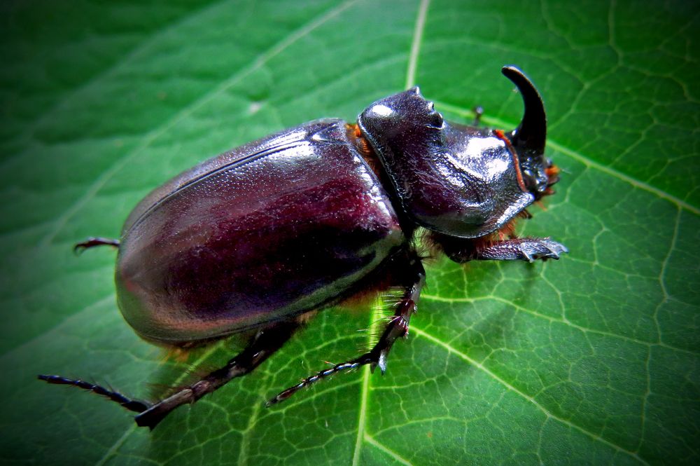 Photograph by Наташа Фишер