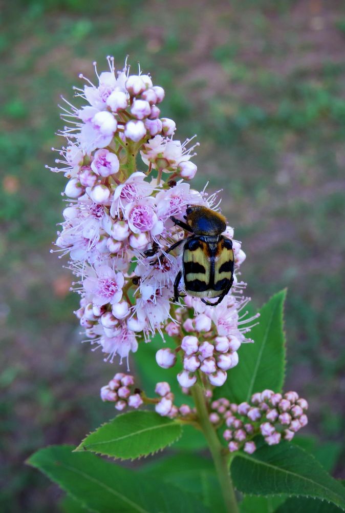 Photograph by Наташа Фишер