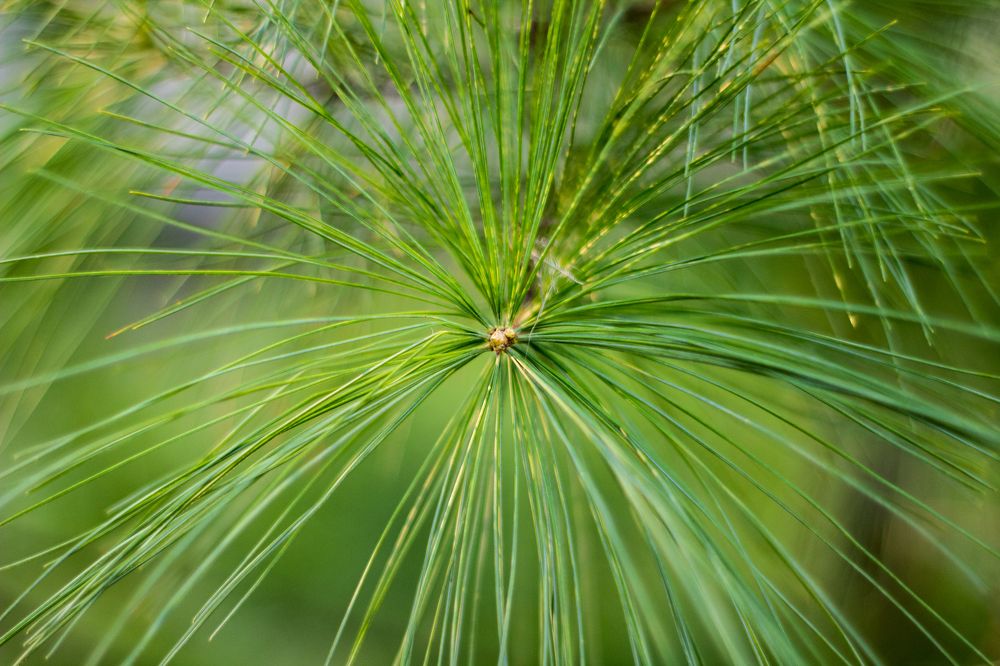 Photograph by Дмитрий Тимин