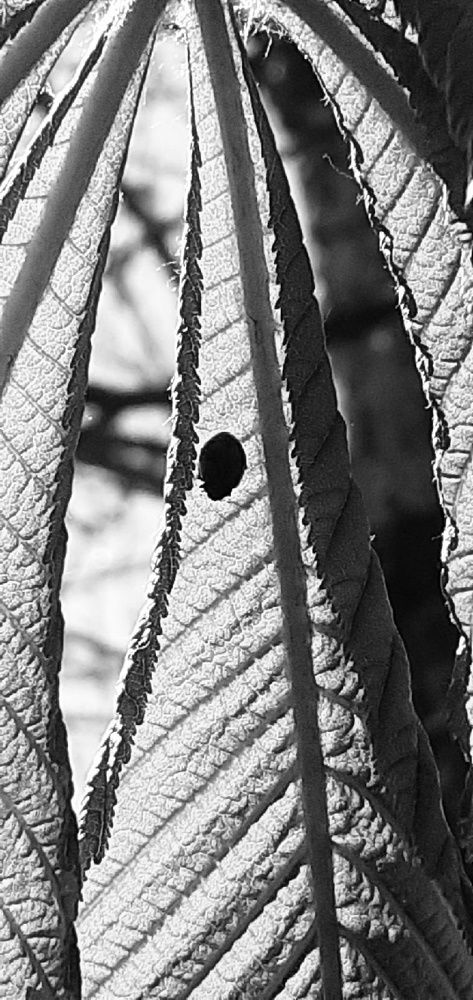 Photograph by Евгения Ульянова