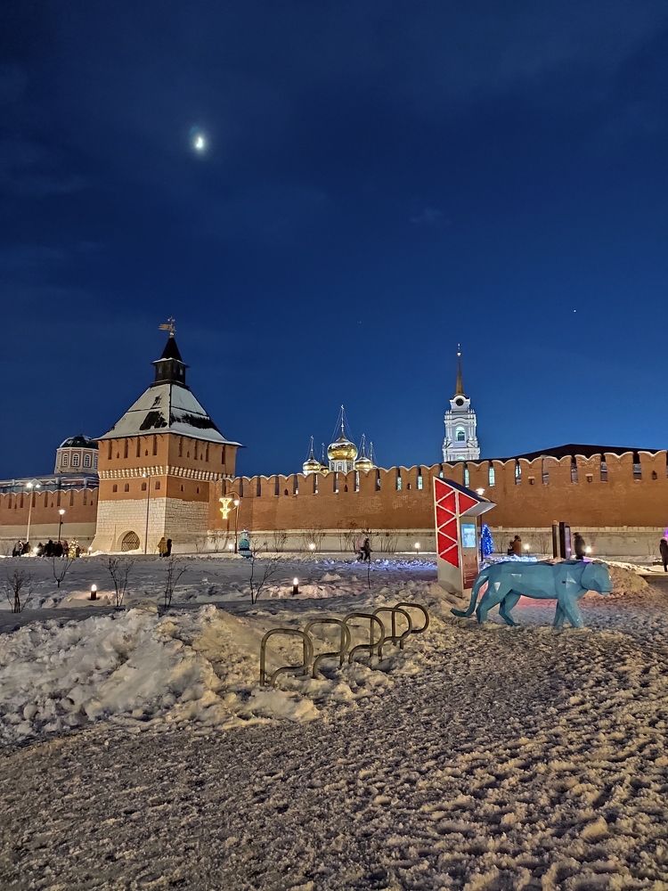 Тульский Кремль