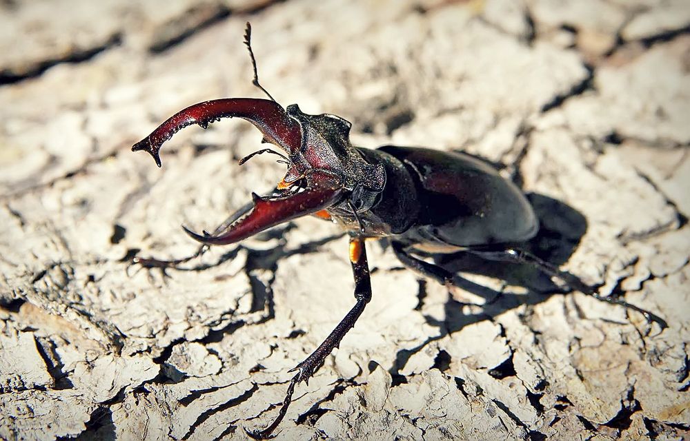 Photograph by Владимир Салапонов