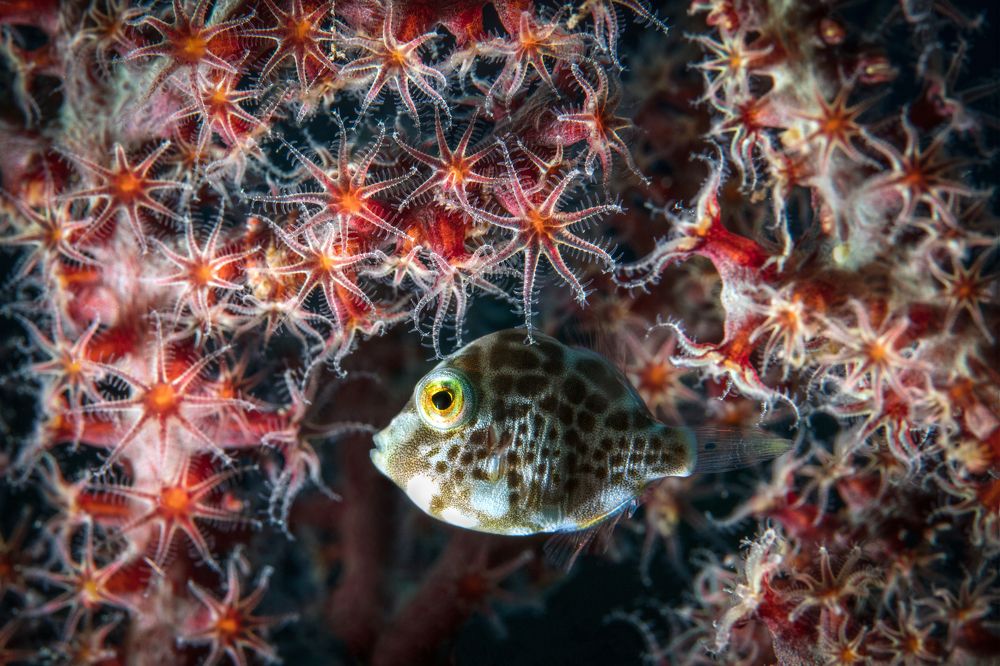 Photograph by Дериглазова Марина Владимировна