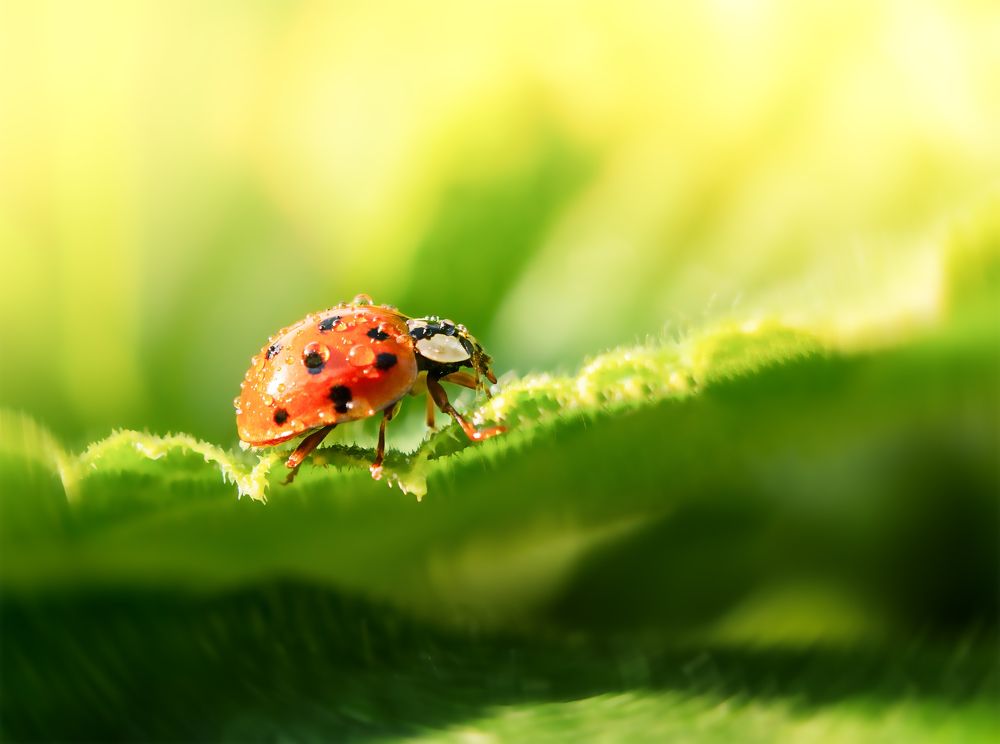 Photograph by YULYA ROMANOVA