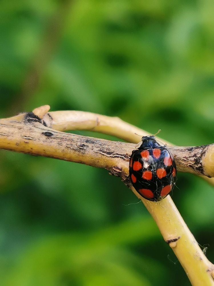 Photograph by Наталья Круглова