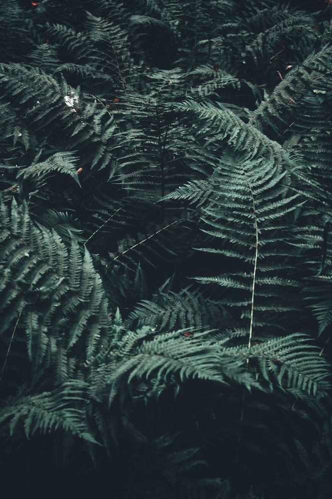 Photograph by Виктория Старовойтова