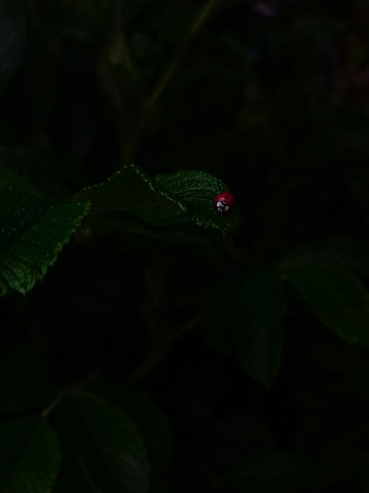 Фотография автора Ксения Вабищевич