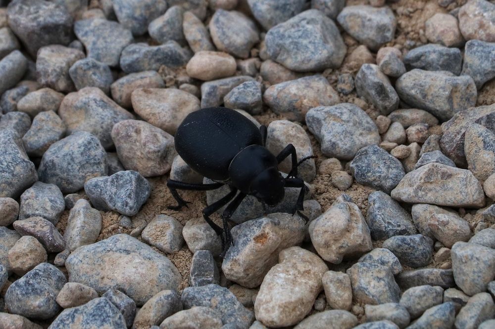 Photograph by Tina Ranjbar