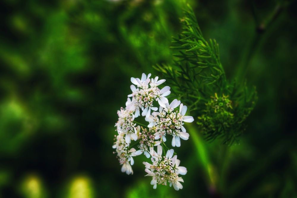 Photograph by Tina Ranjbar