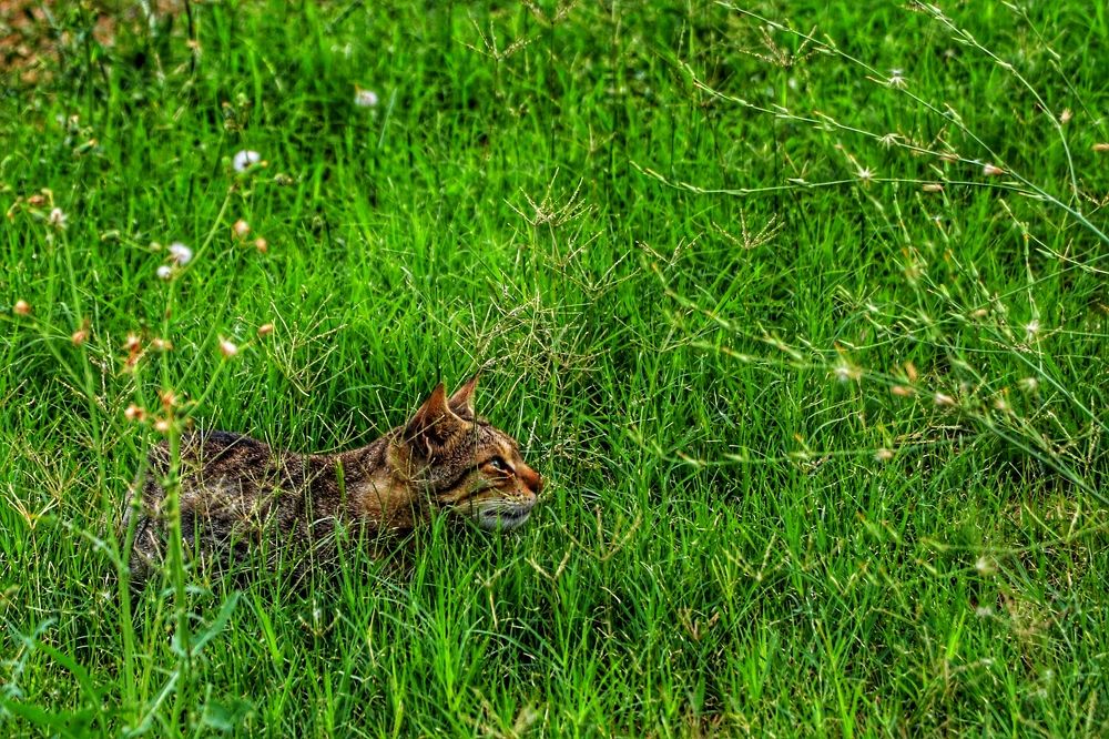 Photograph by Tina Ranjbar