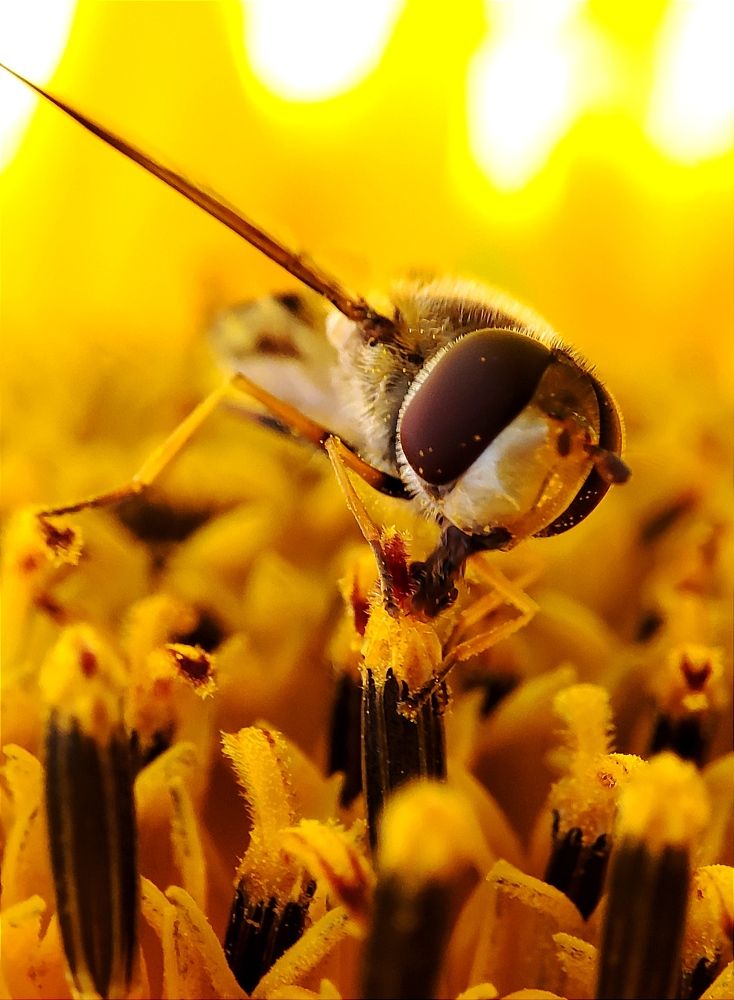 Photograph by Юлия Гинтер