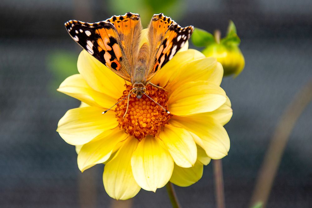 Photograph by Наталья Ивочкина