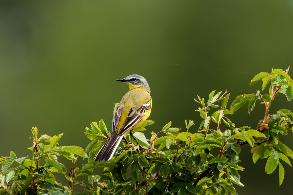 Photograph by Ирина Лисовец