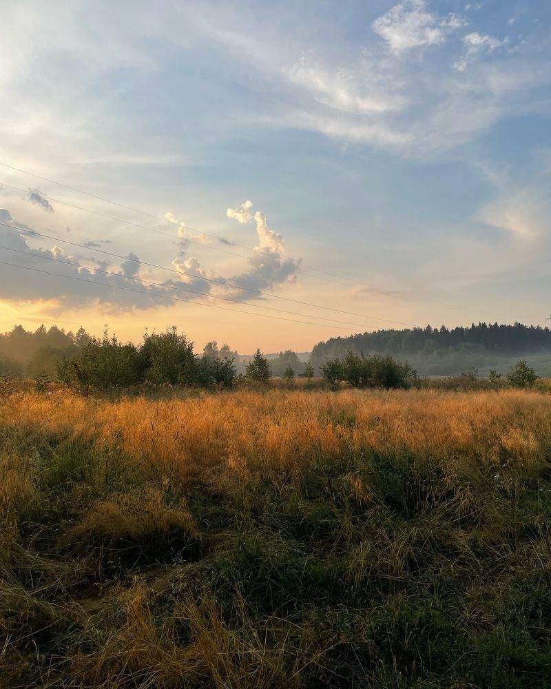 Photograph by Анастасия Могилевец