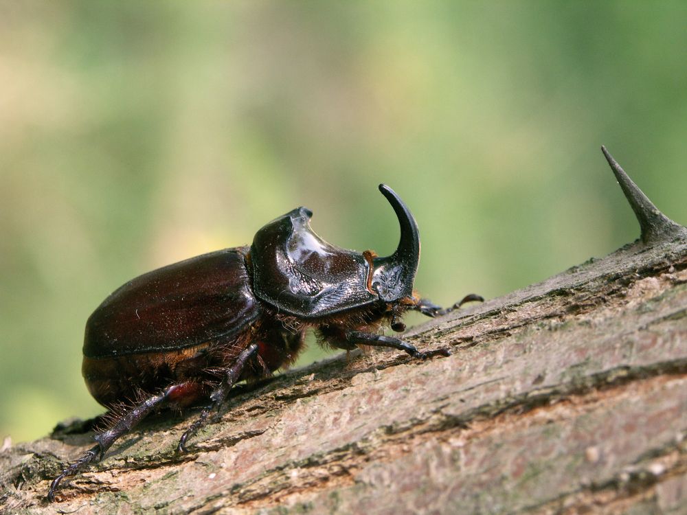 Photograph by Юрий Яковлев