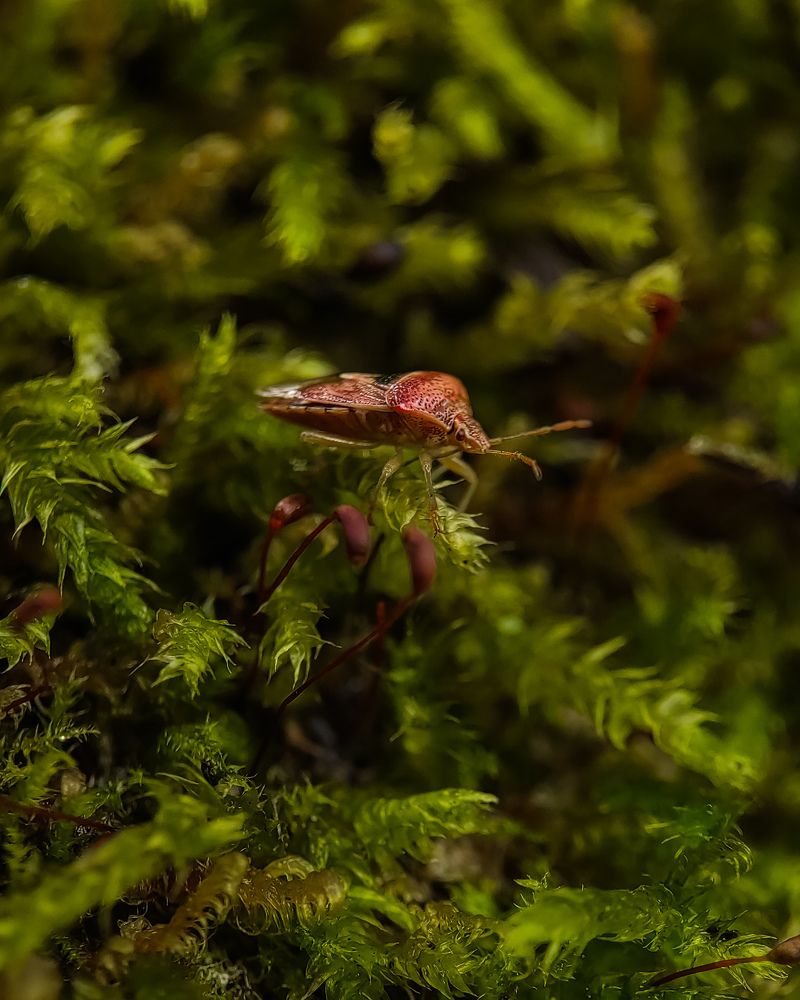 Фотография автора Марина Алексеевская