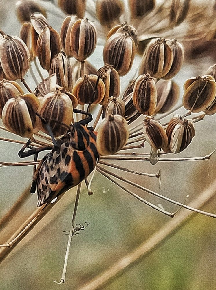 Photograph by Ольга Мартьянова