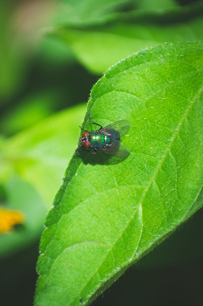 Photograph by Mauricio Santiago Boulogne