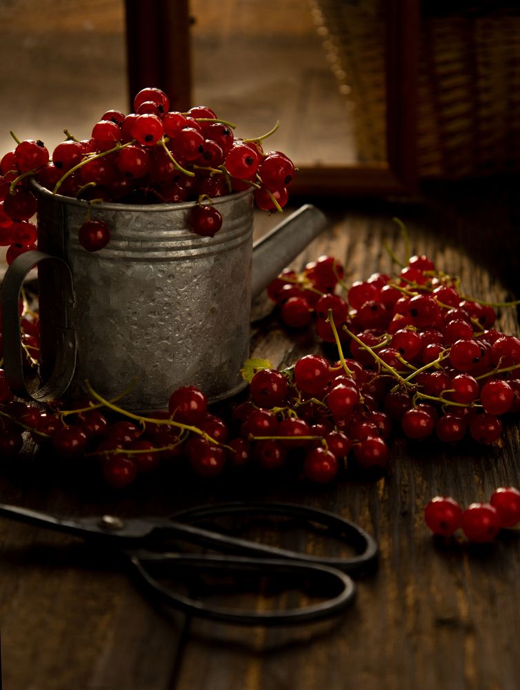 Photograph by Татьяна Кучерова