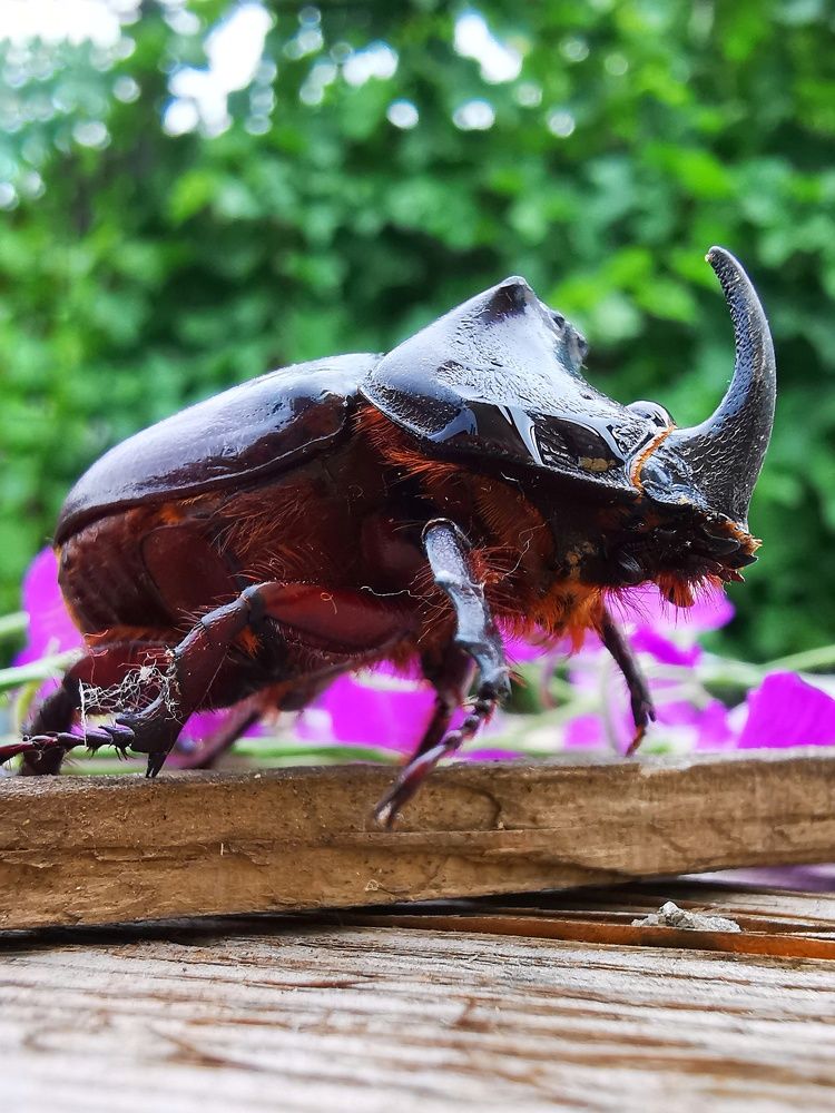 Photograph by Оксана Маракушина