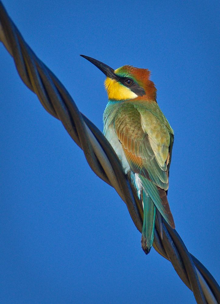 Photograph by Алексей Волжский
