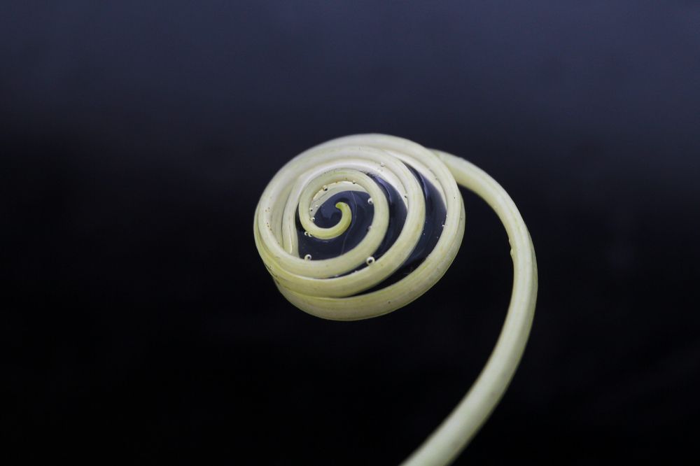 Photograph by Наталья Рябоконенко