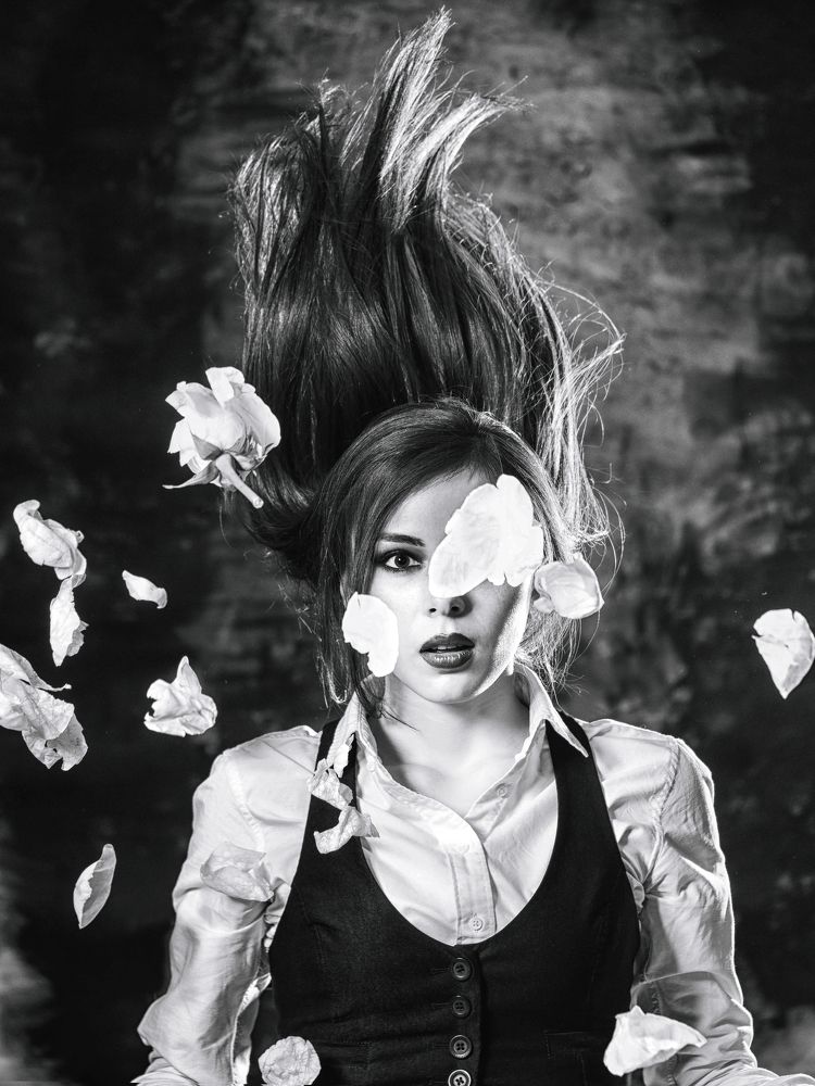 Фотография автора Илья Копелиович