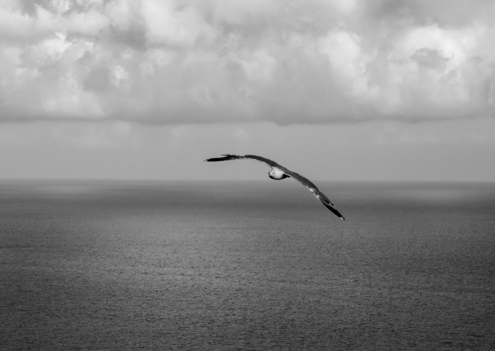 Photograph by Александр Голиков