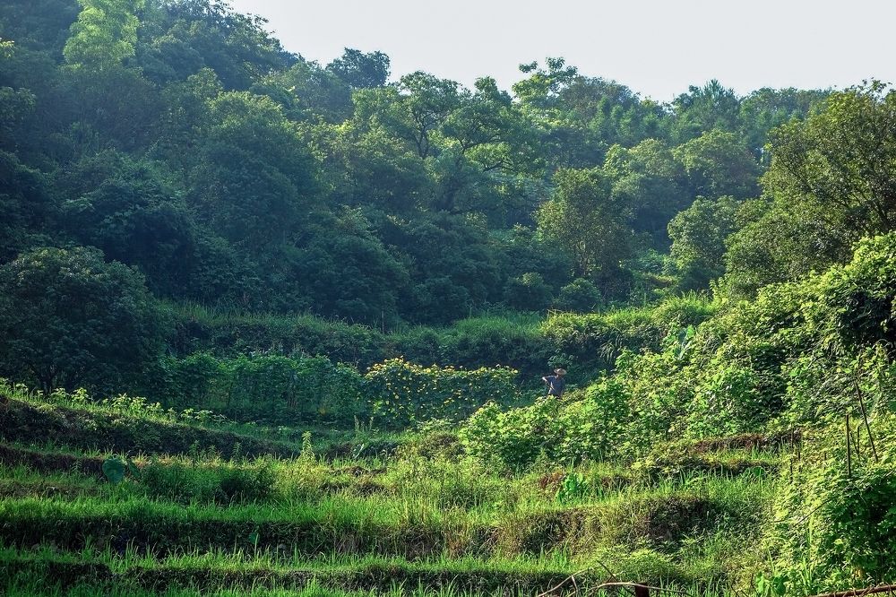 Photograph by IRINA KORNEVA