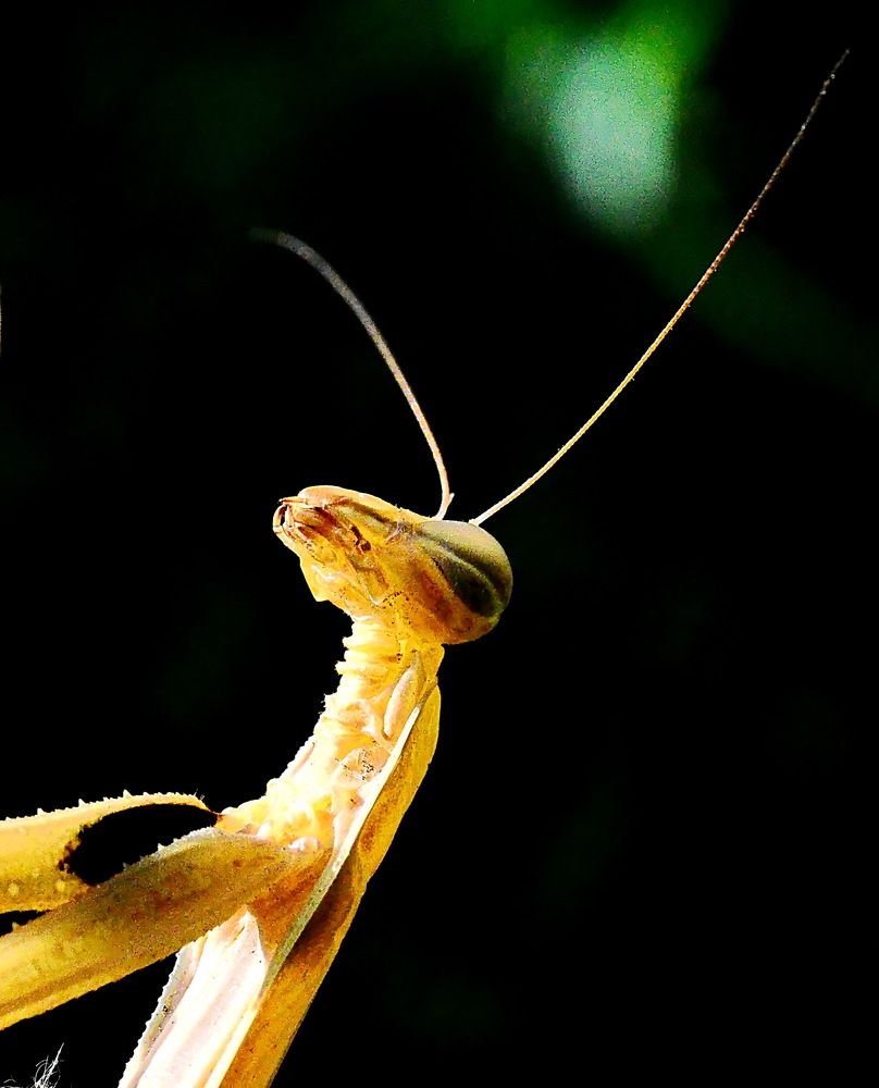 Photograph by Александр