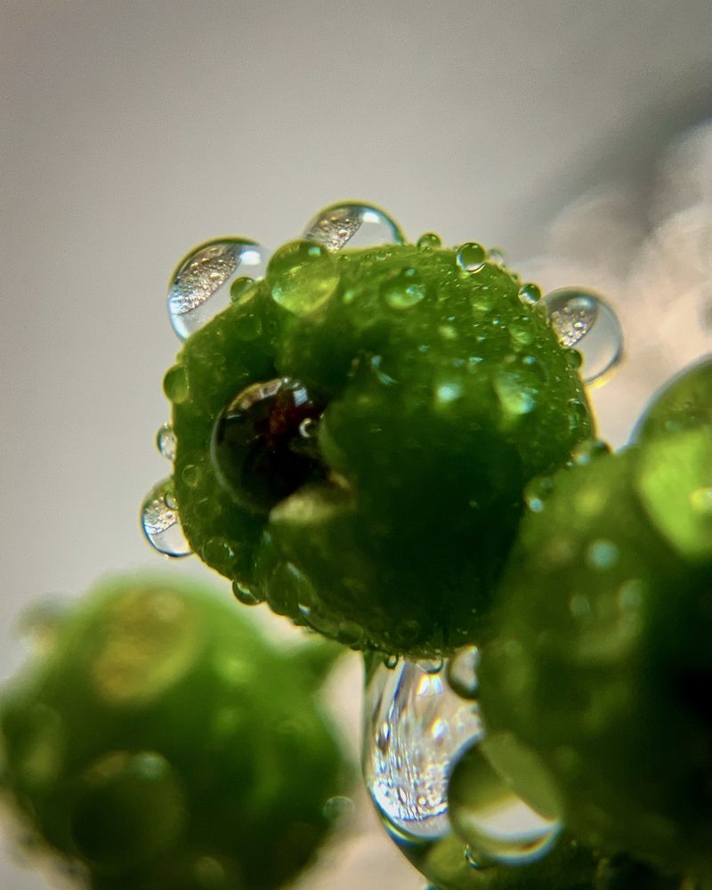 Photograph by Надежда Смирнова