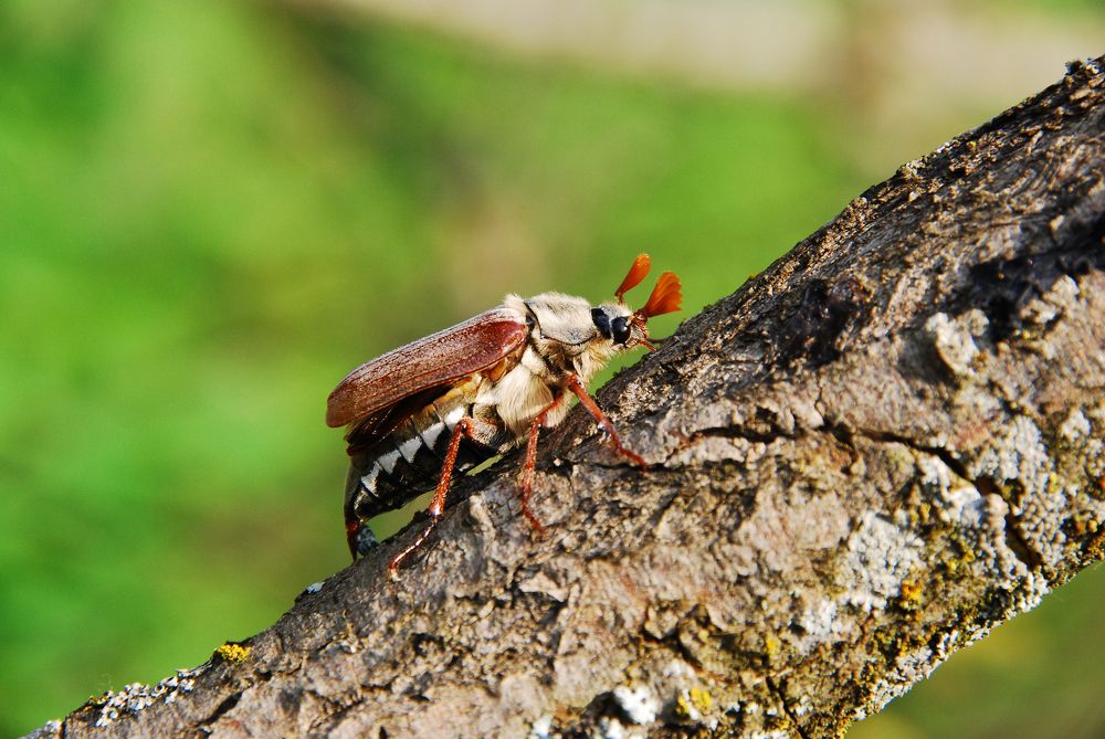 Photograph by Юрий Яковлев