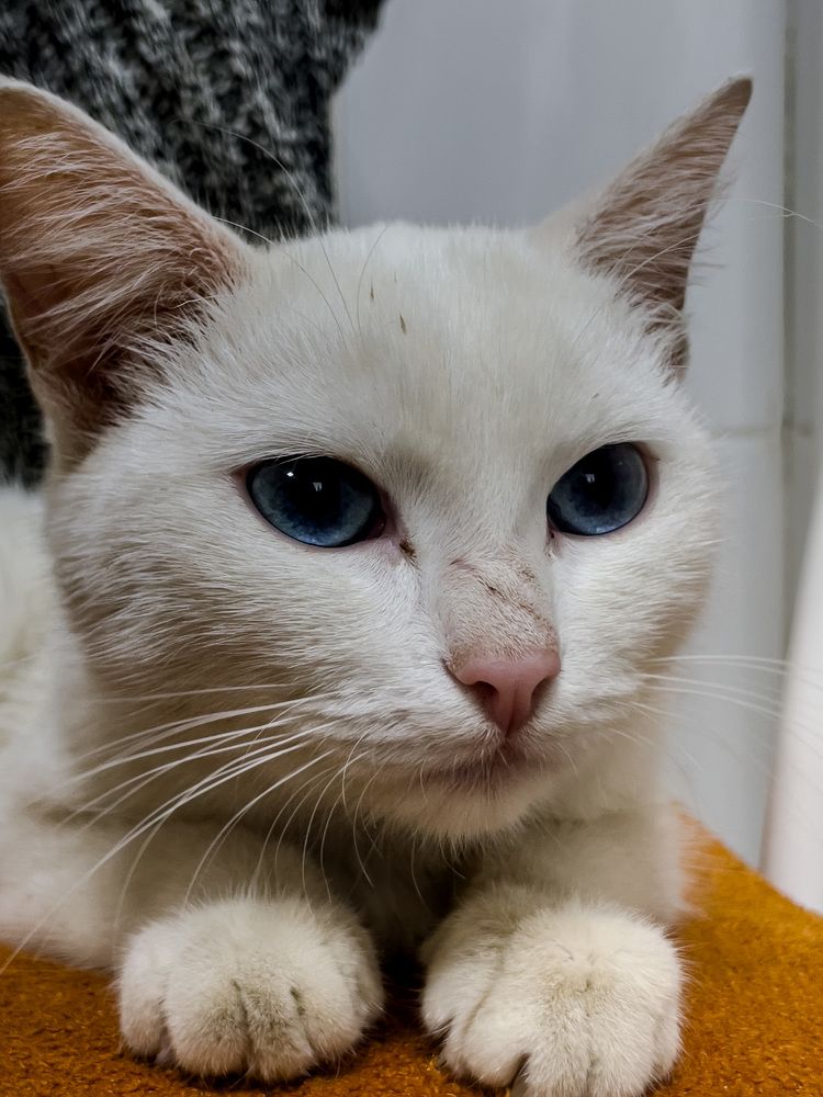 Photograph by Alice Vikernes