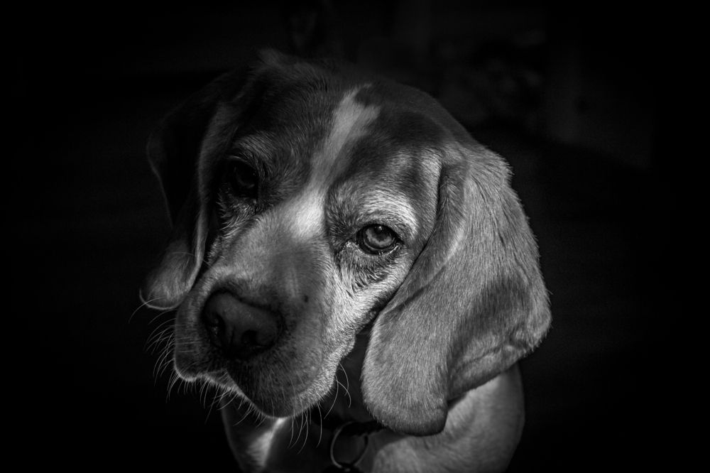 Photograph by Юлия Куликова