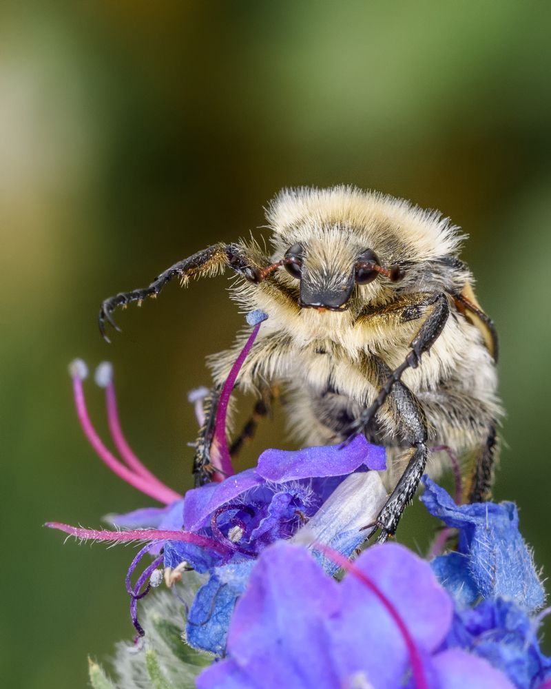 Фотография автора Владимир Зубков