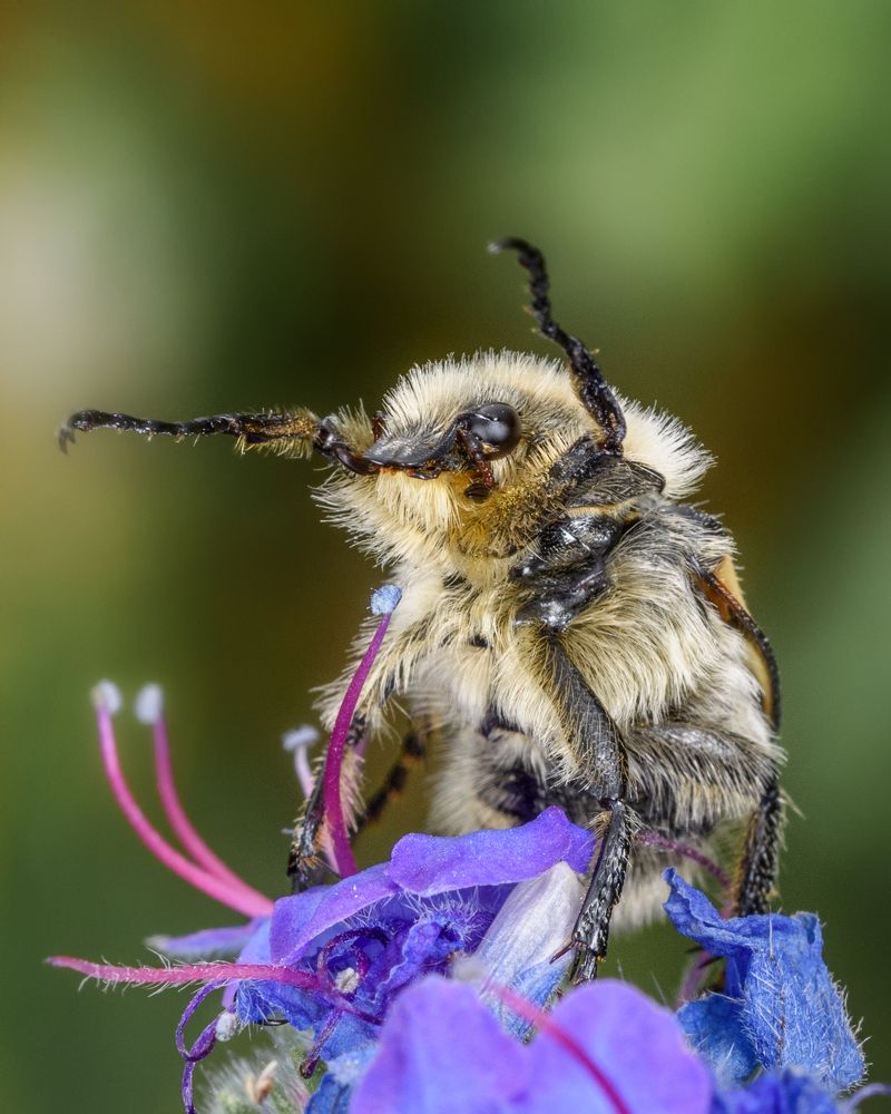 Фотография автора Владимир Зубков