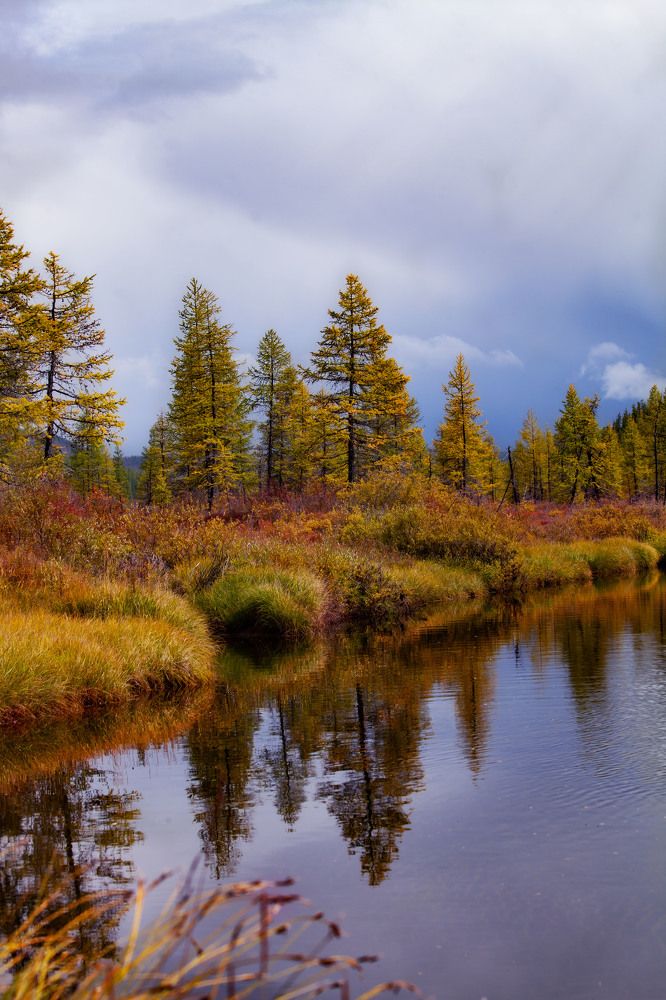 Photograph by Ксения Никифорова