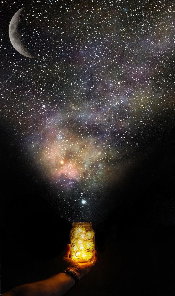 Photograph by Владимир Портуаров