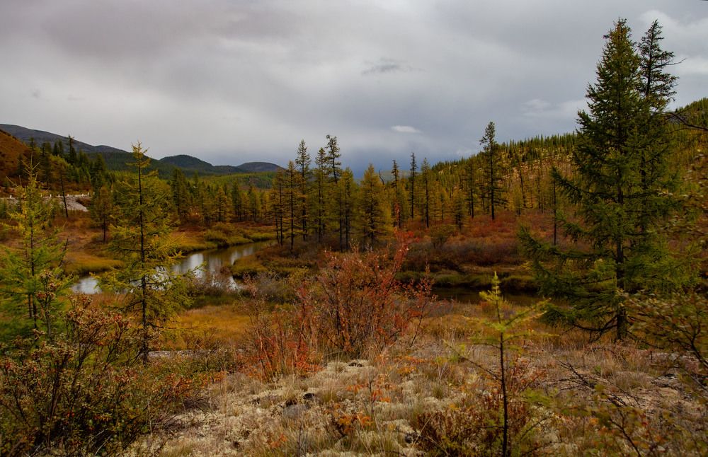 Photograph by Ксения Никифорова