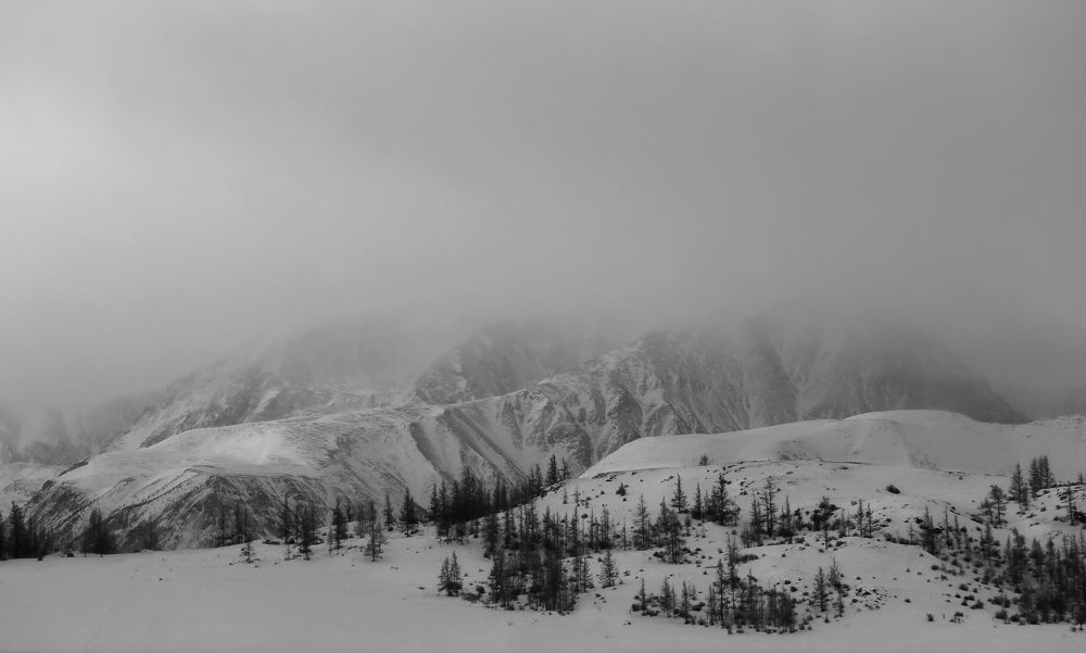 Photograph by Дмитрий Петухов