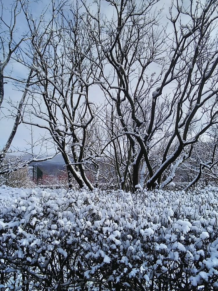 Photograph by Татьяна