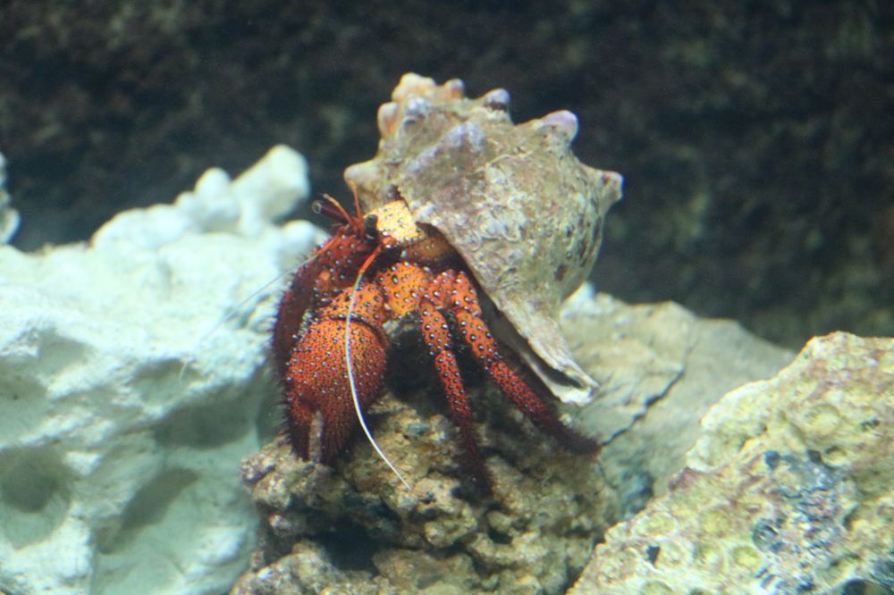 Photograph by Dimuth De Zoysa