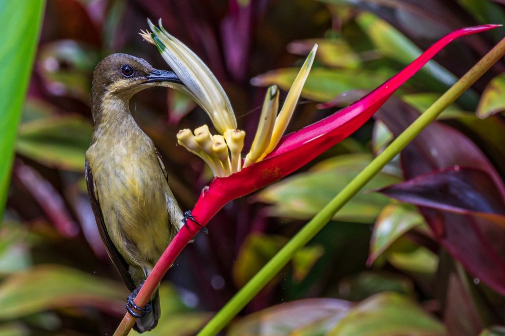 Photograph by Vishnu Panicker