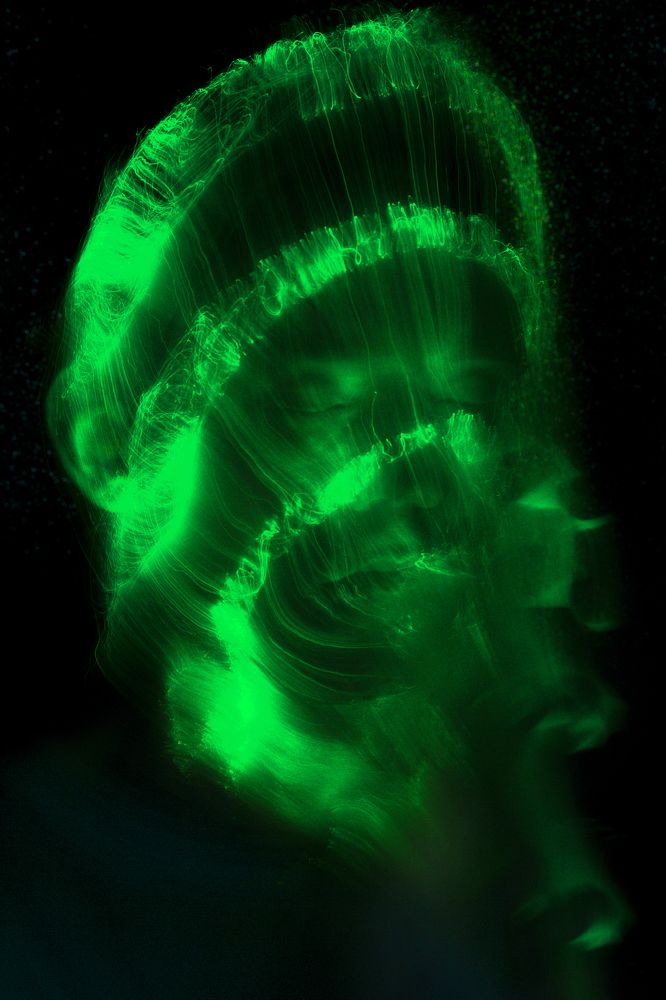 Photograph by Дмитрий Стадницкий