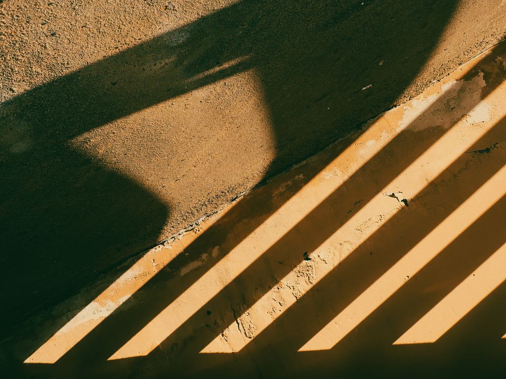 Photograph by Сафронова Любовь